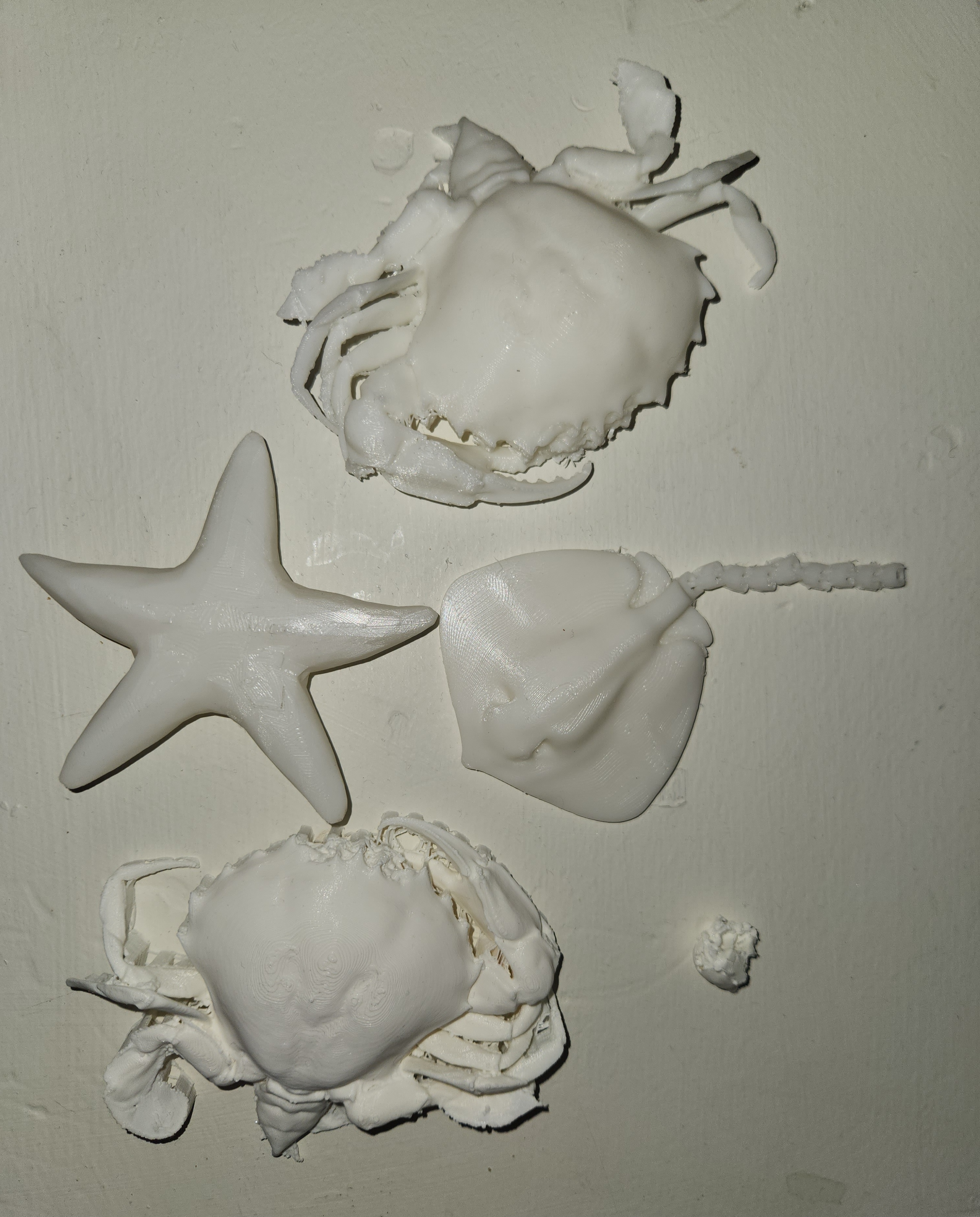 Using the first parts of the cycle I 3D printed some aquariam animals to start preparing for our next steps and insperation, Using found free 3D models.