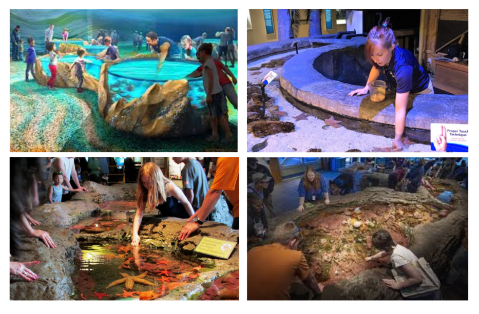 Here are some examples of real life touchpools